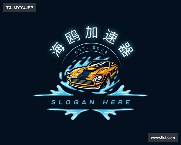 认识海鸥加速器